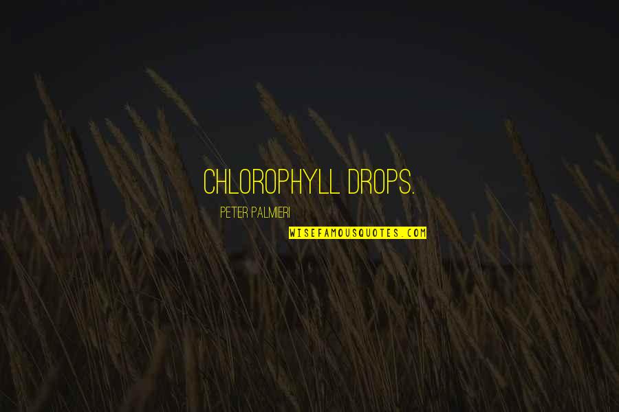 Death Of A Salesman Movie Quotes By Peter Palmieri: Chlorophyll drops.