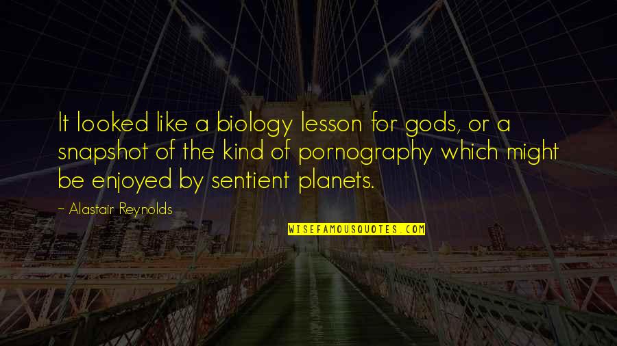 Death Of My Dog Quotes By Alastair Reynolds: It looked like a biology lesson for gods,