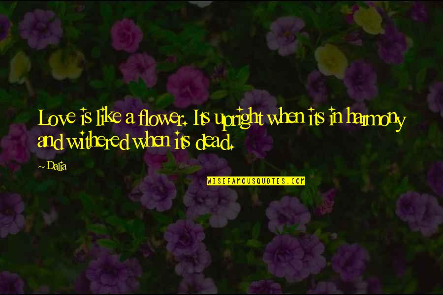 Death Sad Love Quotes By Dalia: Love is like a flower. Its upright when