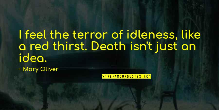 Death The Quotes By Mary Oliver: I feel the terror of idleness, like a
