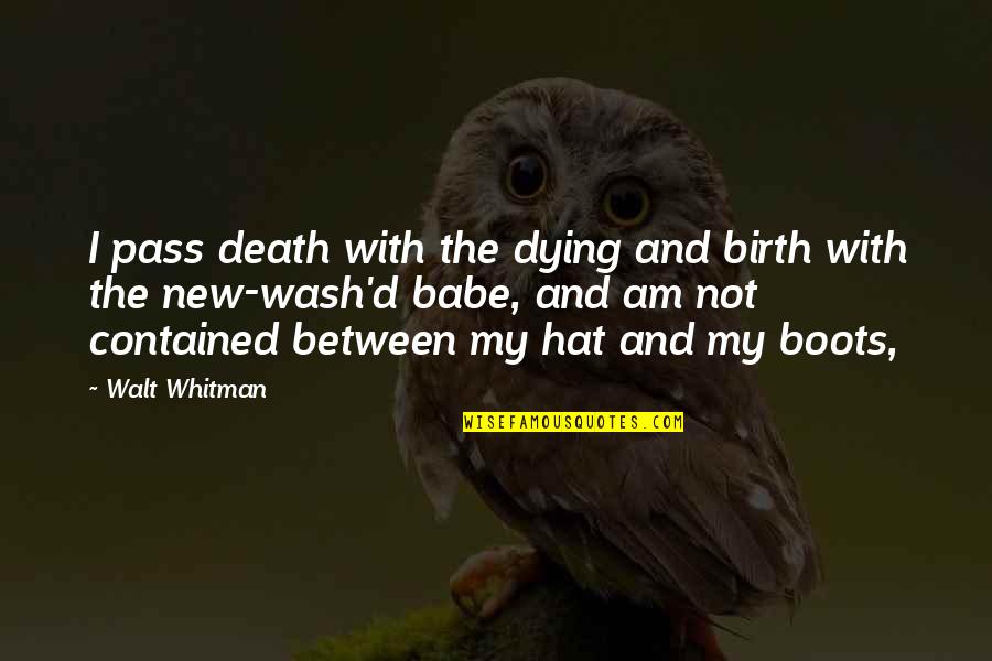 Death Walt Whitman Quotes By Walt Whitman: I pass death with the dying and birth
