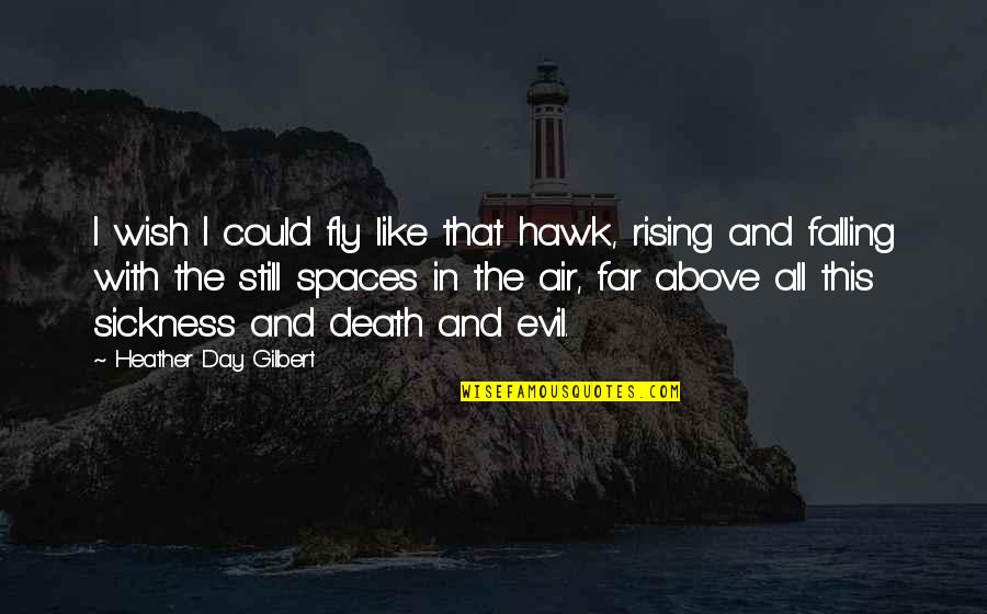 Death Wish Quotes By Heather Day Gilbert: I wish I could fly like that hawk,