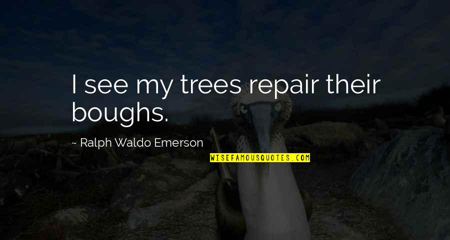 Death Without Judgement Quotes By Ralph Waldo Emerson: I see my trees repair their boughs.