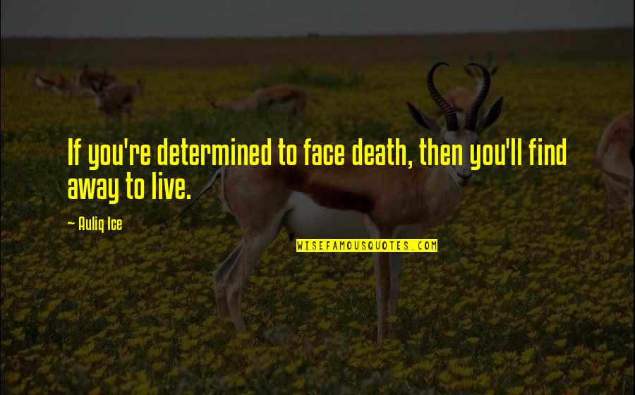 Death'll Quotes By Auliq Ice: If you're determined to face death, then you'll