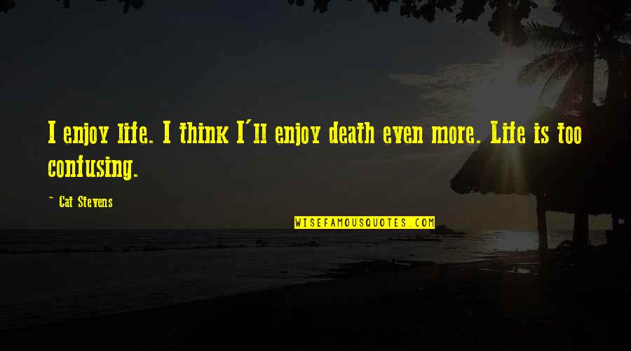 Death'll Quotes By Cat Stevens: I enjoy life. I think I'll enjoy death