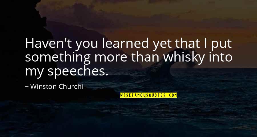 Deatils Quotes By Winston Churchill: Haven't you learned yet that I put something Deatils Quotes By Winston Churchill: Haven't you learned yet that I put something