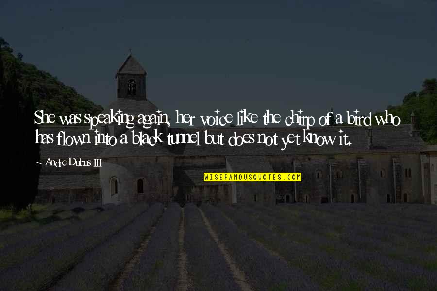 Debajo In Spanish Quotes By Andre Dubus III: She was speaking again, her voice like the Debajo In Spanish Quotes By Andre Dubus III: She was speaking again, her voice like the