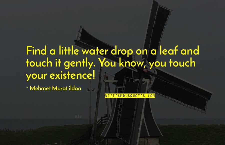 Debatten Dr Quotes By Mehmet Murat Ildan: Find a little water drop on a leaf