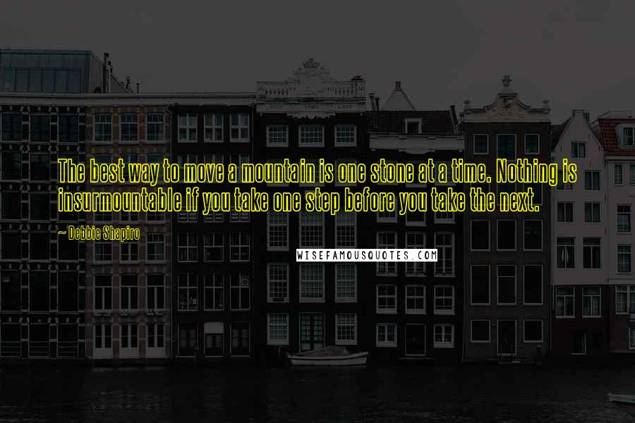 Debbie Shapiro quotes: The best way to move a mountain is one stone at a time. Nothing is insurmountable if you take one step before you take the next.