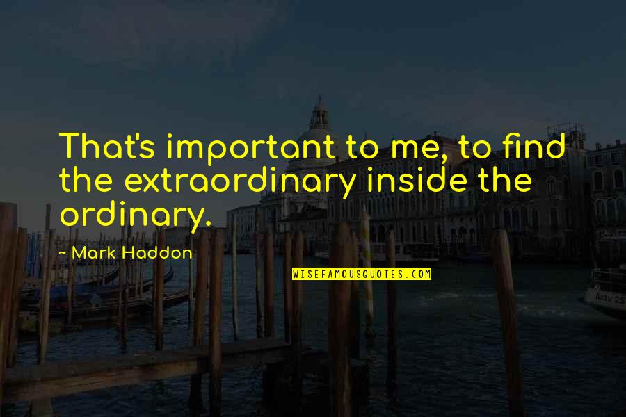 Debbye Turner Quotes By Mark Haddon: That's important to me, to find the extraordinary