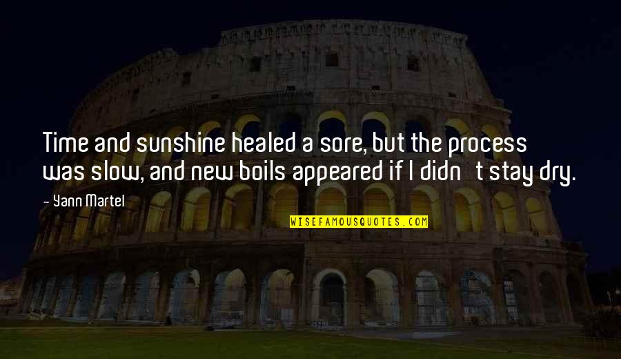 Debitore Significato Quotes By Yann Martel: Time and sunshine healed a sore, but the Debitore Significato Quotes By Yann Martel: Time and sunshine healed a sore, but the