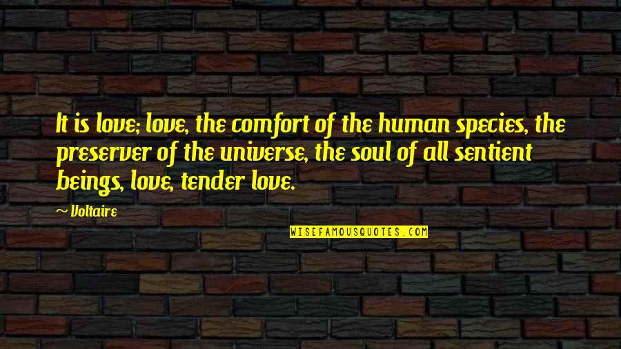 Deblass's Quotes By Voltaire: It is love; love, the comfort of the