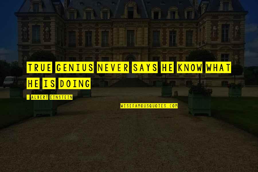 Debonaire Stables Quotes By Albert Einstein: True genius never says he know what he Debonaire Stables Quotes By Albert Einstein: True genius never says he know what he