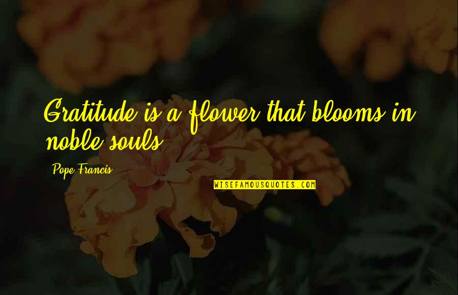 Debrae Kennedy Mayo Quotes By Pope Francis: Gratitude is a flower that blooms in noble Debrae Kennedy Mayo Quotes By Pope Francis: Gratitude is a flower that blooms in noble