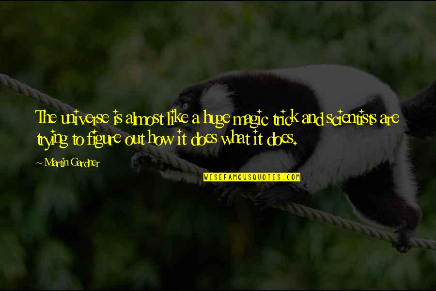 Debrincat Blackhawks Quotes By Martin Gardner: The universe is almost like a huge magic Debrincat Blackhawks Quotes By Martin Gardner: The universe is almost like a huge magic