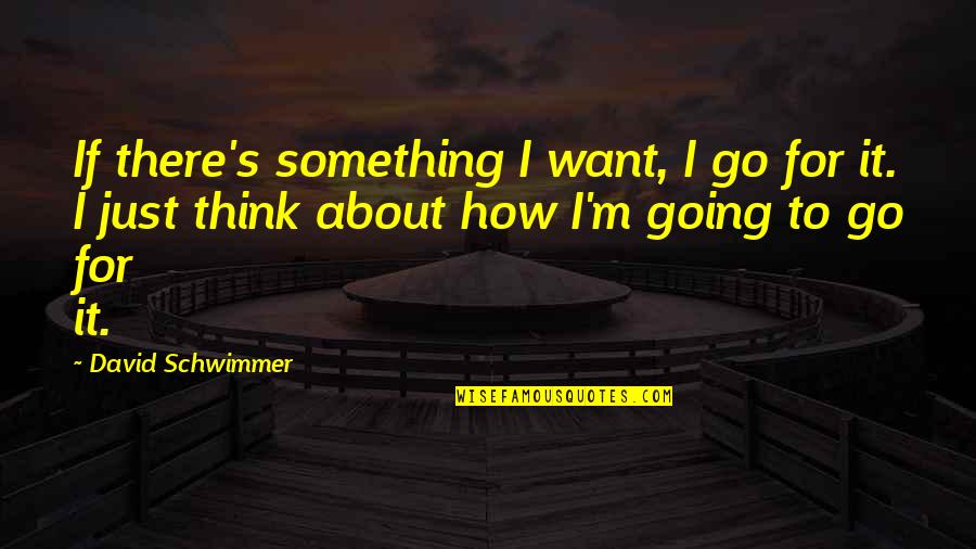 Debrum Significado Quotes By David Schwimmer: If there's something I want, I go for