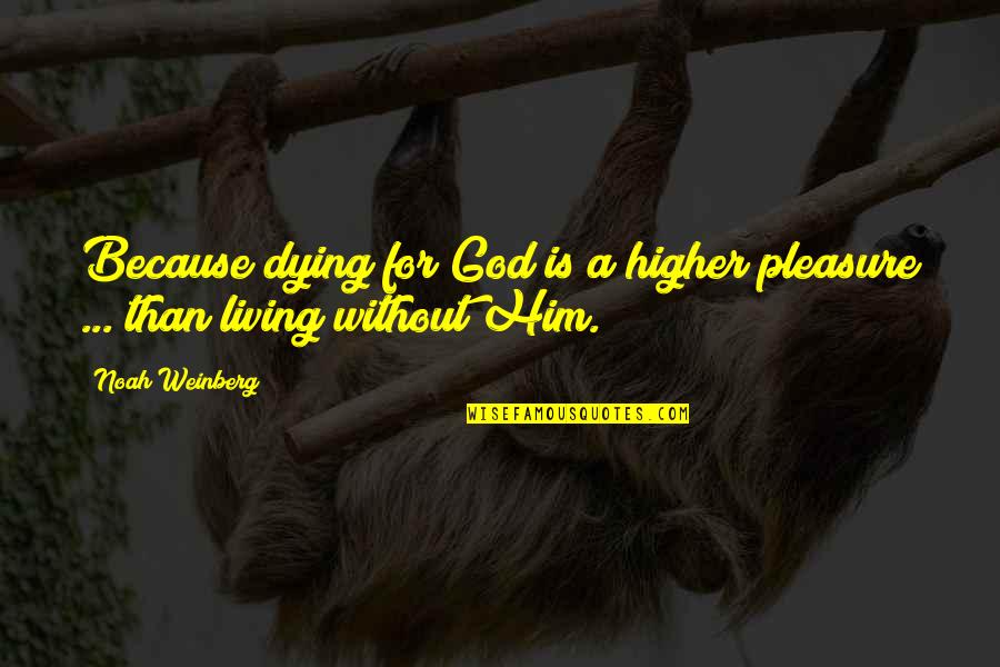Decamplis Quotes By Noah Weinberg: Because dying for God is a higher pleasure