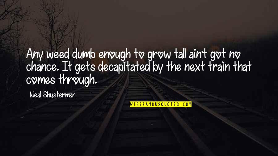Decapitated Quotes By Neal Shusterman: Any weed dumb enough to grow tall ain't Decapitated Quotes By Neal Shusterman: Any weed dumb enough to grow tall ain't