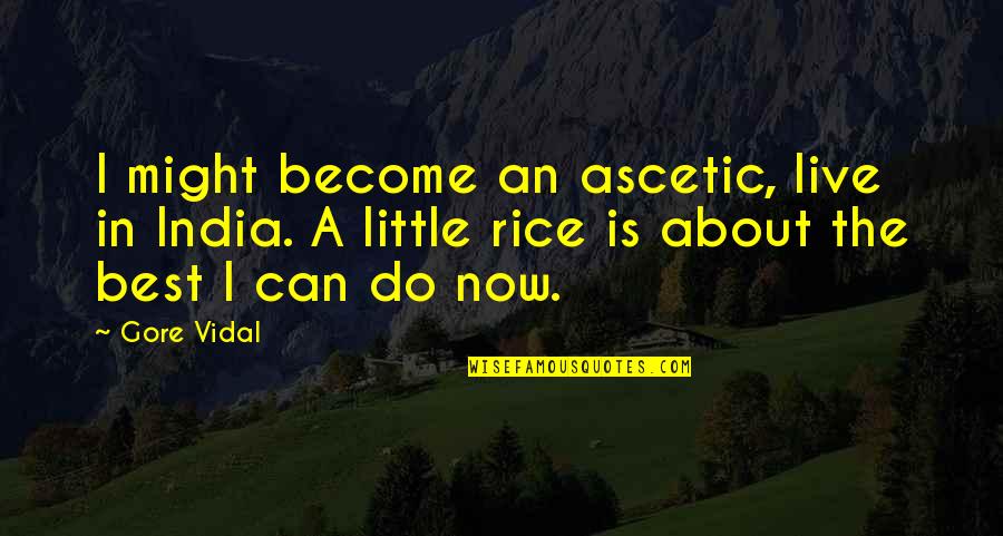 Decastro Farms Quotes By Gore Vidal: I might become an ascetic, live in India.