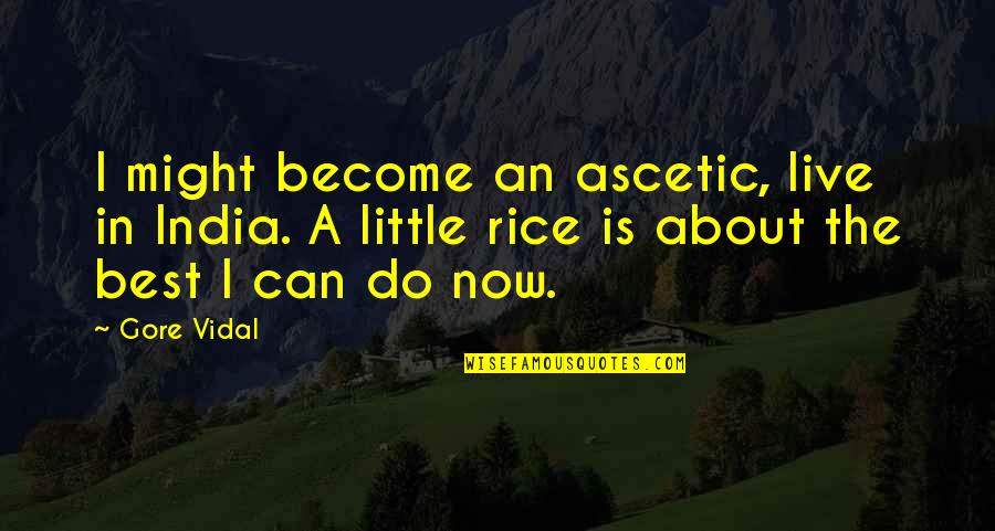 Decastro Farms Quotes By Gore Vidal: I might become an ascetic, live in India. Decastro Farms Quotes By Gore Vidal: I might become an ascetic, live in India.