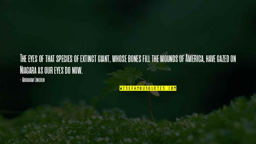 Decco Alloys Quotes By Abraham Lincoln: The eyes of that species of extinct giant, Decco Alloys Quotes By Abraham Lincoln: The eyes of that species of extinct giant,