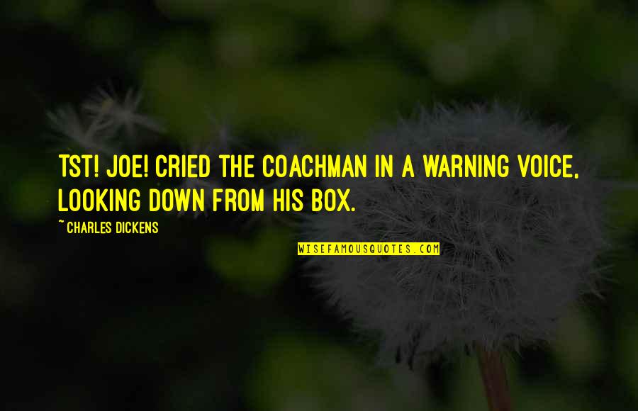 Deceitful Guys Quotes By Charles Dickens: Tst! Joe! cried the coachman in a warning