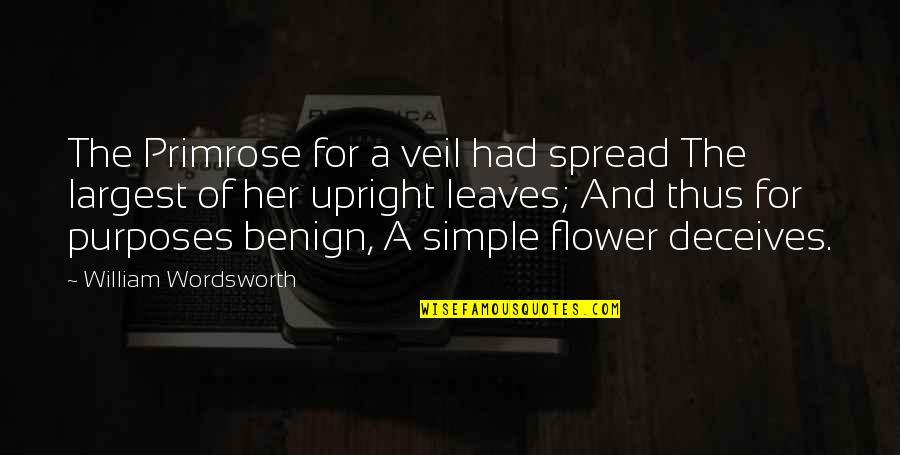 Deceives Quotes By William Wordsworth: The Primrose for a veil had spread The