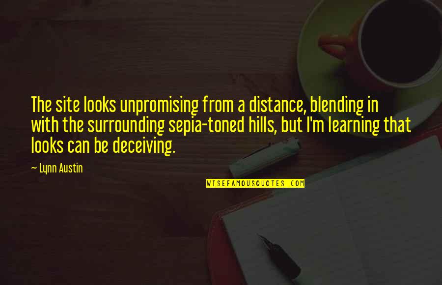 Deceiving Quotes By Lynn Austin: The site looks unpromising from a distance, blending