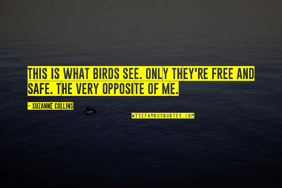 Decelerate Quotes By Suzanne Collins: This is what birds see. Only they're free