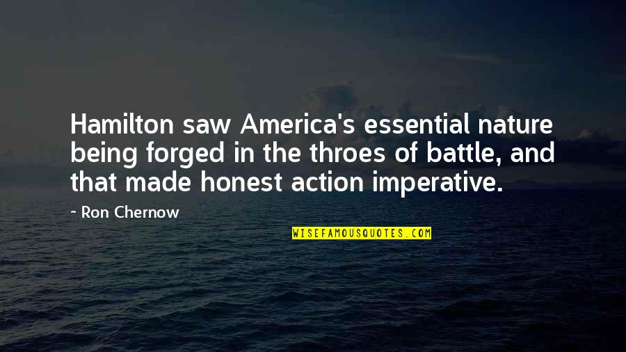 Decelerations Quotes By Ron Chernow: Hamilton saw America's essential nature being forged in