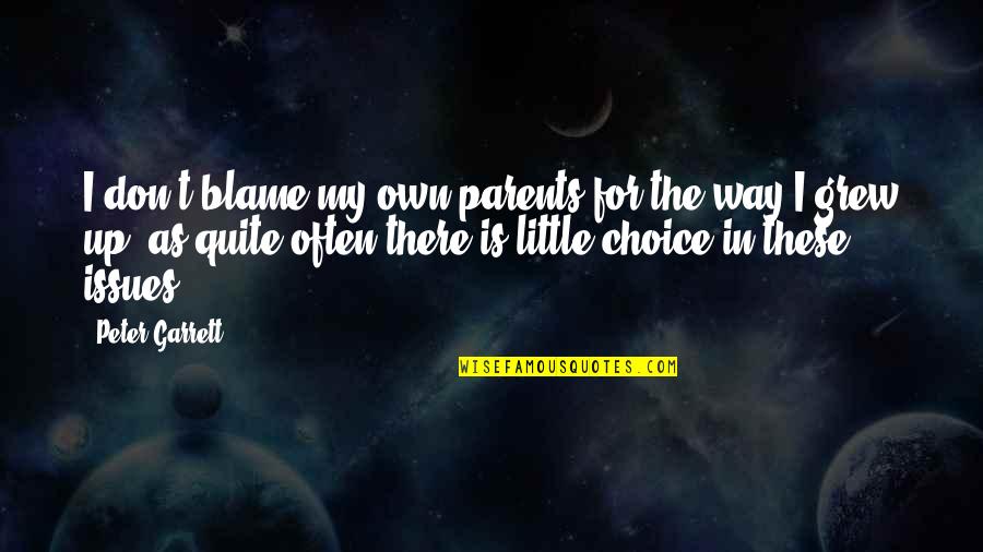 Deceniile Quotes By Peter Garrett: I don't blame my own parents for the Deceniile Quotes By Peter Garrett: I don't blame my own parents for the