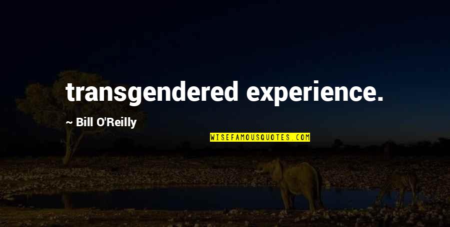 Dechow Quotes By Bill O'Reilly: transgendered experience.