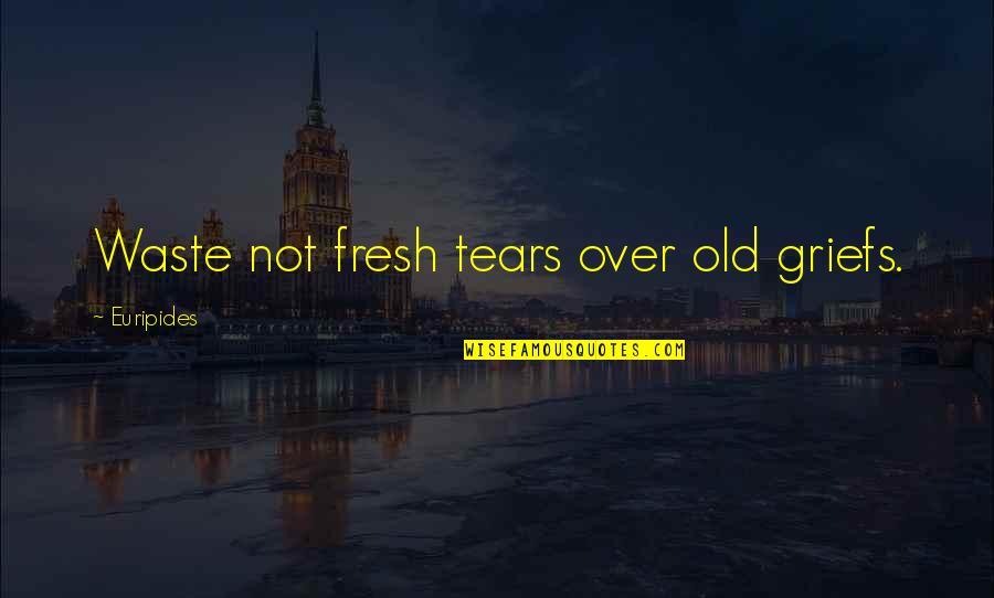 Decibelios In English Quotes By Euripides: Waste not fresh tears over old griefs.