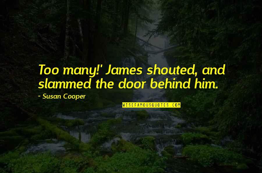 Decider Synonym Quotes By Susan Cooper: Too many!' James shouted, and slammed the door
