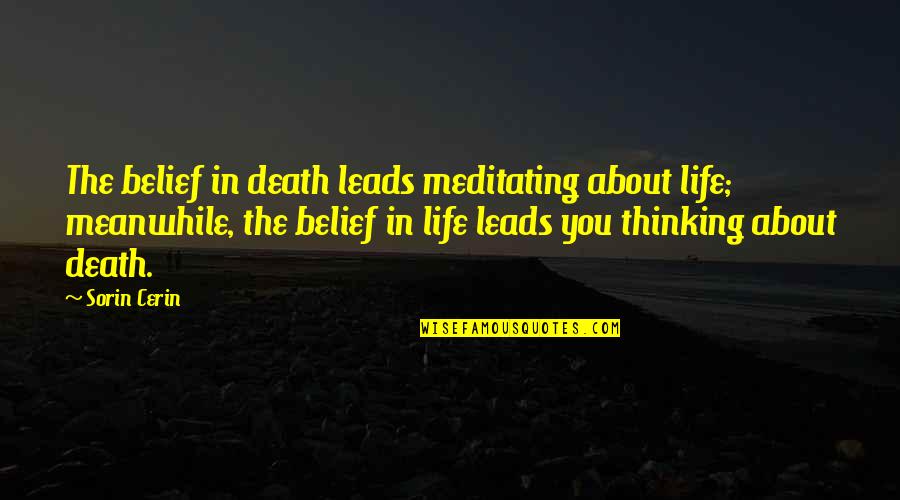 Decillis Buffalo Quotes By Sorin Cerin: The belief in death leads meditating about life; Decillis Buffalo Quotes By Sorin Cerin: The belief in death leads meditating about life;