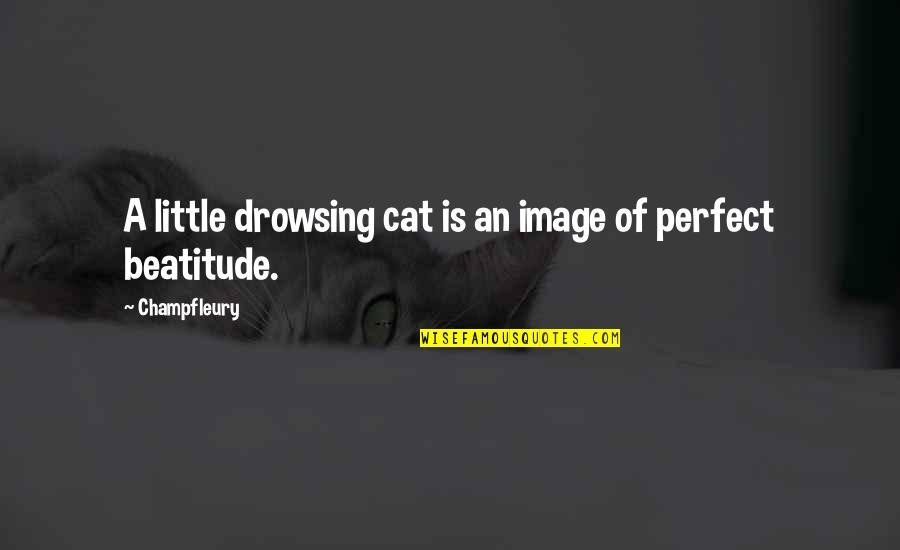 Decisive Moments Quotes By Champfleury: A little drowsing cat is an image of