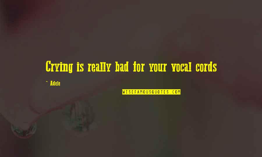 Deck Design Quotes By Adele: Crying is really bad for your vocal cords