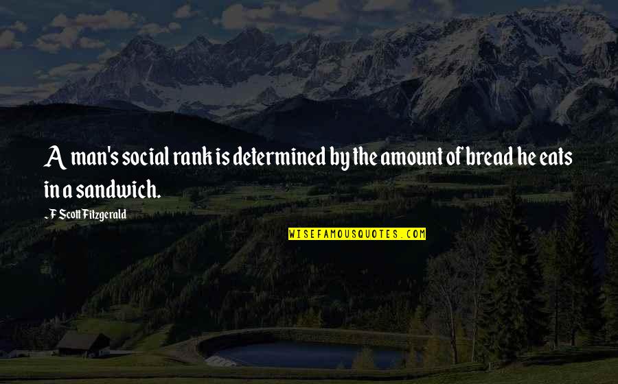 Deckelbaum Larry Quotes By F Scott Fitzgerald: A man's social rank is determined by the