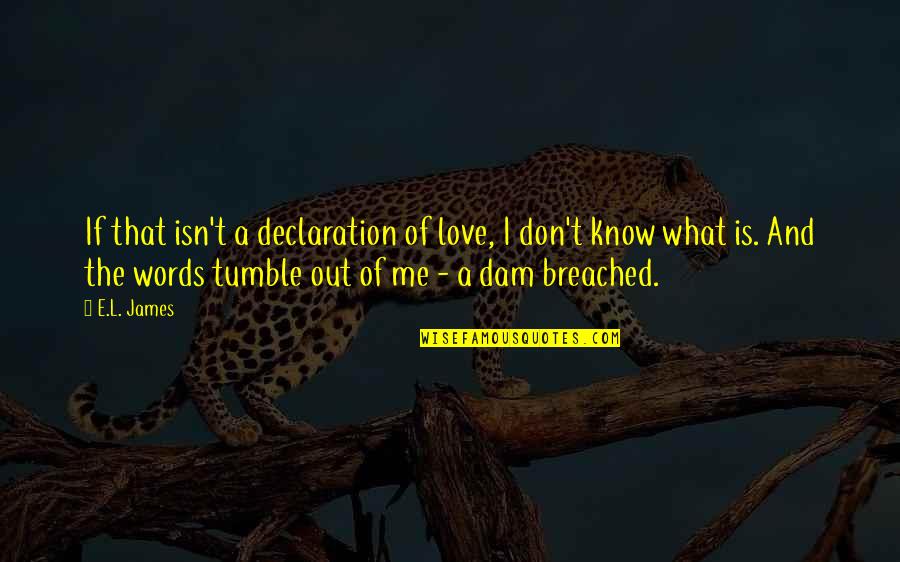 Declaration Of Love Quotes By E.L. James: If that isn't a declaration of love, I