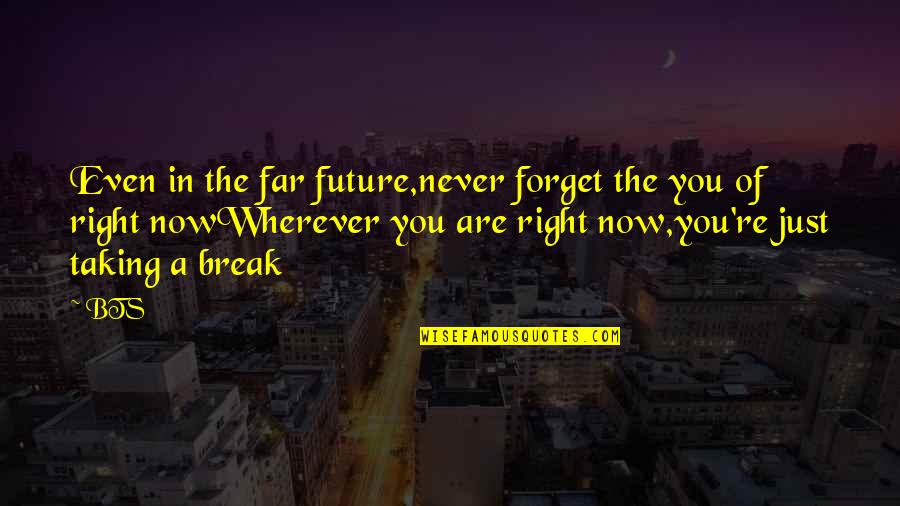 Decline Love Quotes By BTS: Even in the far future,never forget the you