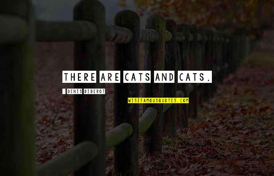 Decompression Quotes By Denis Diderot: There are cats and cats.