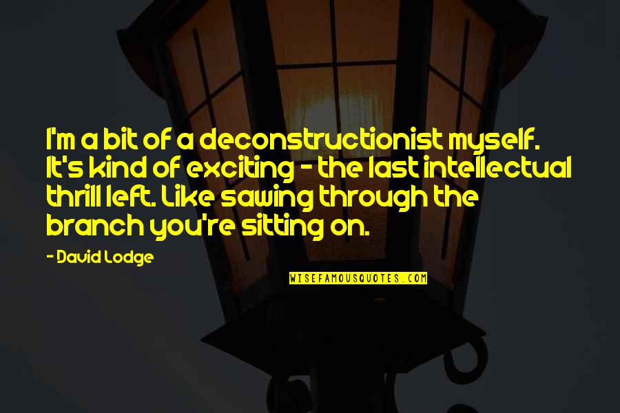 Deconstructionist Quotes By David Lodge: I'm a bit of a deconstructionist myself. It's