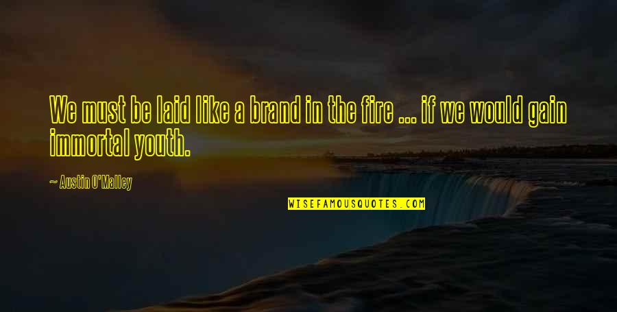 Decorative Art Quotes By Austin O'Malley: We must be laid like a brand in