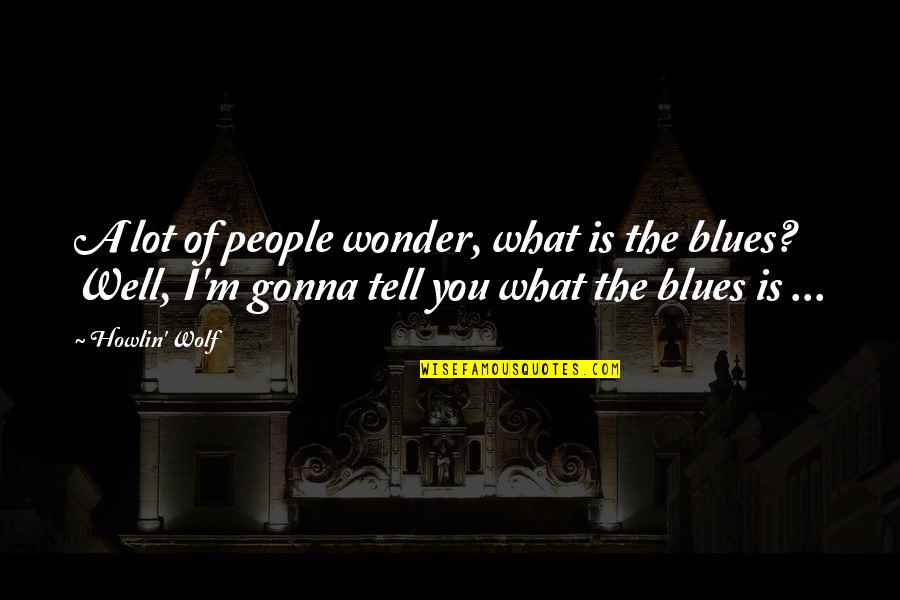 Decree In Islam Quotes By Howlin' Wolf: A lot of people wonder, what is the