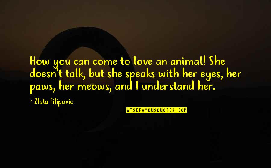 Decried Quotes By Zlata Filipovic: How you can come to love an animal!