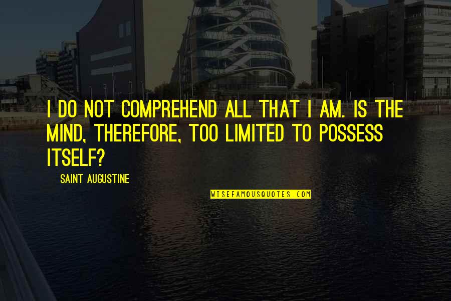 Decriminalization Quotes By Saint Augustine: I do not comprehend all that I am.