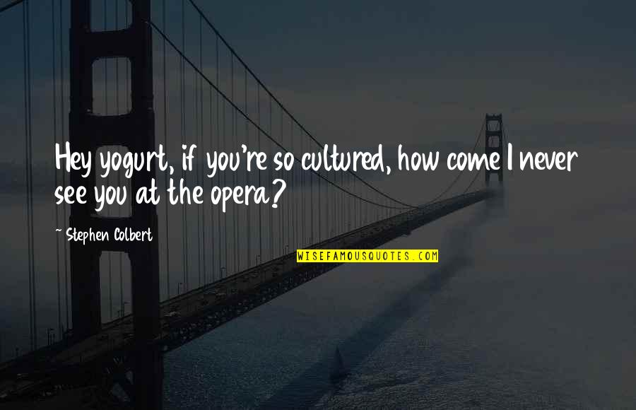 Decrosta Construction Quotes By Stephen Colbert: Hey yogurt, if you're so cultured, how come