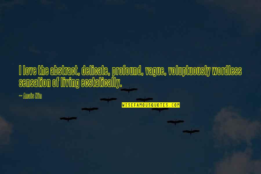 Decrypted 3ds Quotes By Anais Nin: I love the abstract, delicate, profound, vague, voluptuously