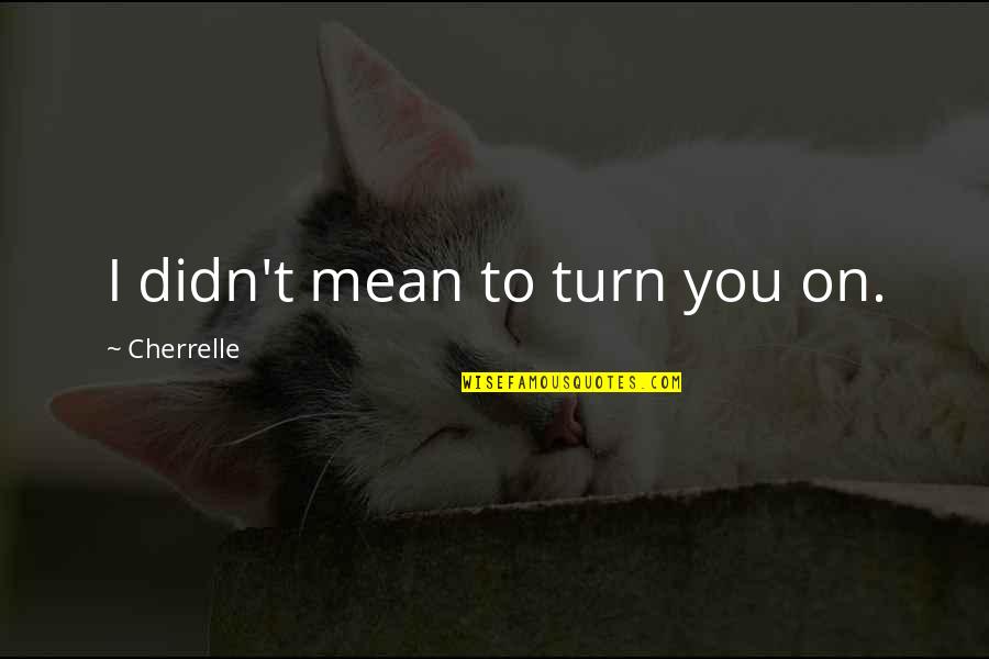 Dede Korkut Quotes By Cherrelle: I didn't mean to turn you on.