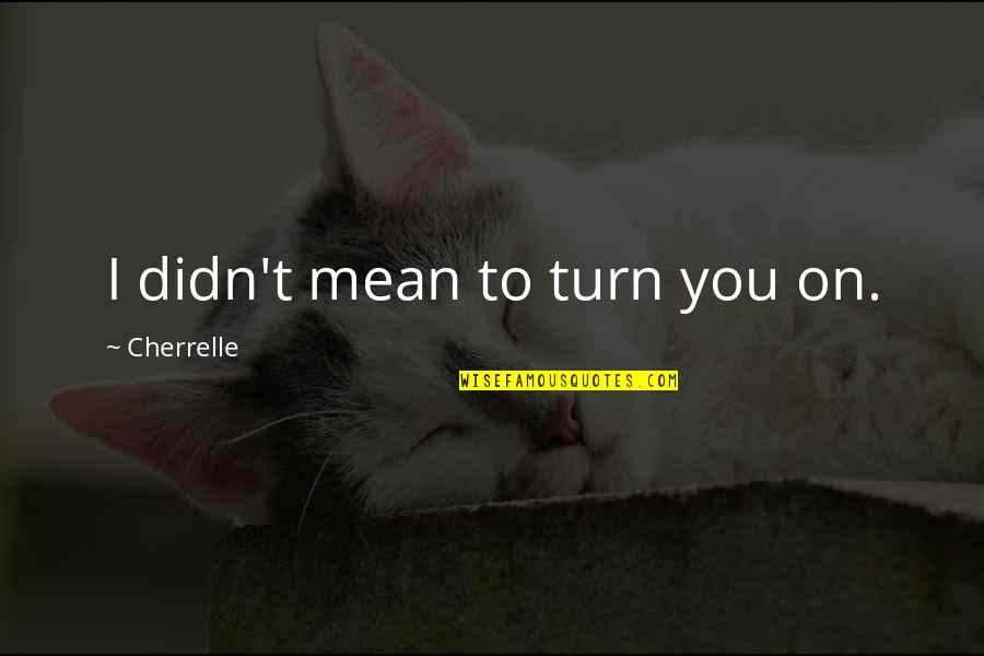Dede Korkut Quotes By Cherrelle: I didn't mean to turn you on. Dede Korkut Quotes By Cherrelle: I didn't mean to turn you on.